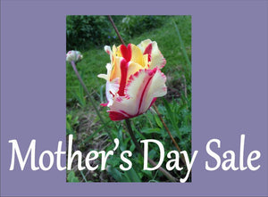 Mother's day SALE!
