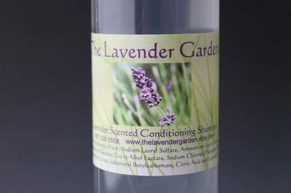 Lavender scented conditioning Shampoo - 8 oz bottle